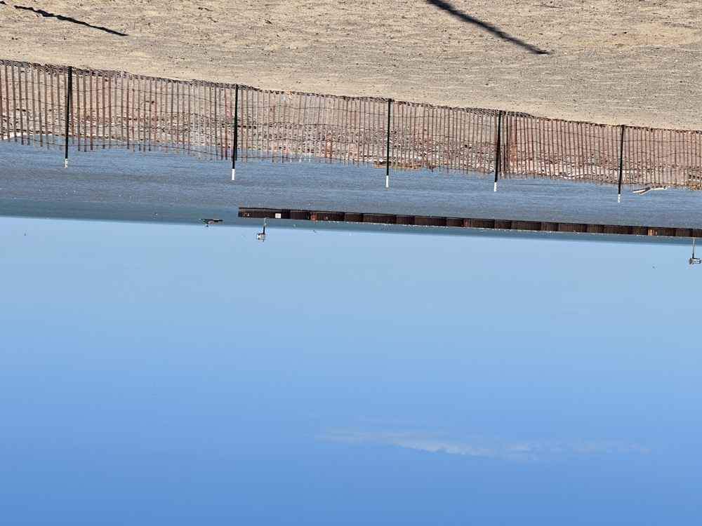 card - 20240408_113308