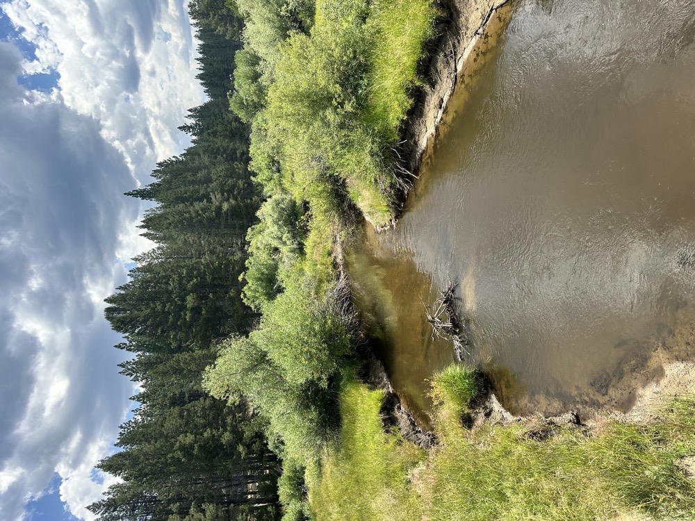 card - 20240720_125409