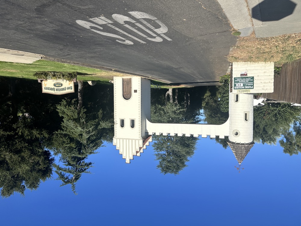 card - 20240817_085342