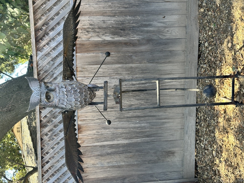 card - 20240817_121522