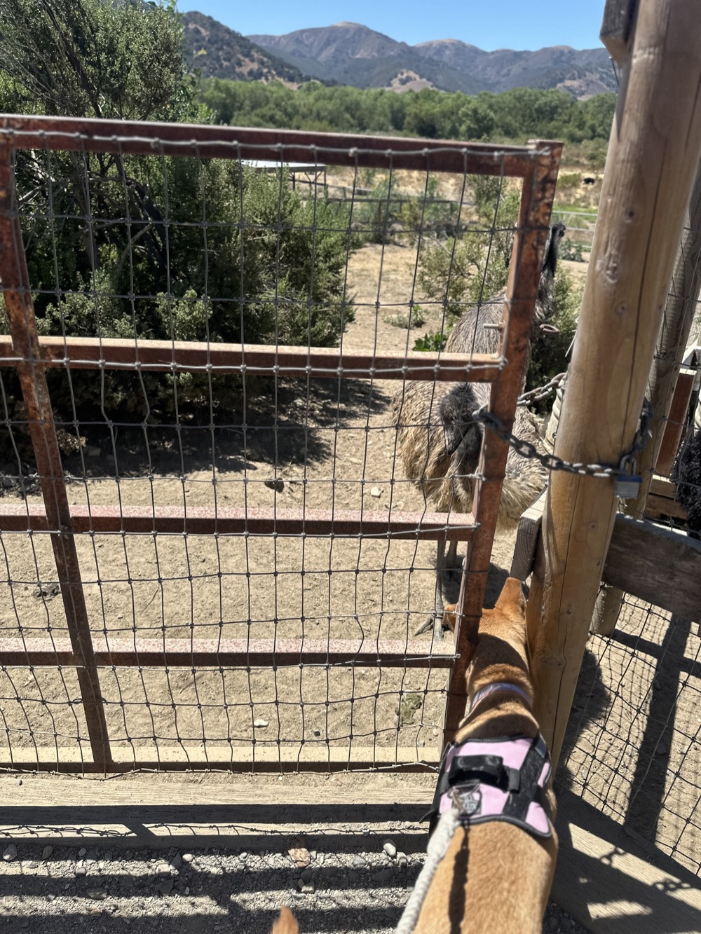 card - 20240817_130323