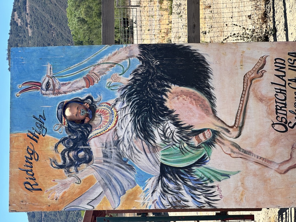 card - 20240817_131000